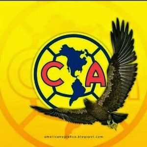 Meet your Posher, Monico